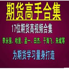 李永强、于海飞、哈里多位期货高手现场训练营培训（共17套）