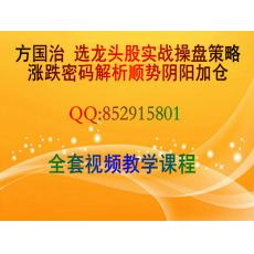 方国治 选龙头股实战操盘策略涨跌密码顺势加仓 股票期货培训视频