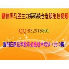 翻倍黑马股主力筹码锁仓选股绝技 解剖庄家技术股市必胜战术培训