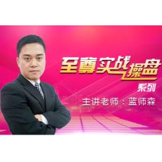 蓝师森 至尊实战操盘系列 股海扭乾坤内部培训视频