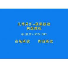 孤狼张磊 波浪等同交替传统形态多周期交易策略 波浪理论初级班外汇现货黄金培训视频课程