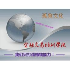 孤狼文化金融交易 张磊 一字诀多空分界市场延续反转判断 外汇现货黄金培训视频课程