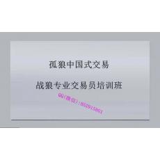 张磊 波浪优化高低点数浪级别加仓综合使用练习 黄金外汇实战特训培训视频课程