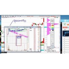 无为老师 分时阴阳K线股理体系班 股票内部培训视频课程