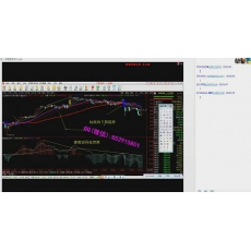 期指再回首 时间操盘密码背离共振 股票期货临界点交易内部培训视频课程（35集）