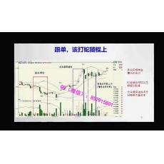 林洸兴 精准波段增减仓赢家法则移仓跨期走势拐点 期货内部培训视频课程