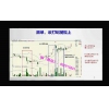 林洸兴 精准波段增减仓赢家法则移仓跨期走势拐点 期货内部培训视频课程