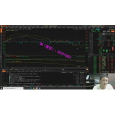薛松 量价结构K线形态交易技术基本面解析 股票实战培训视频课程 赠研报