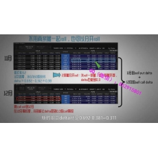 美投君 时间价值价格收益曲线方向波动率交易财报价值策略 美股期权内部培训视频（初中高）