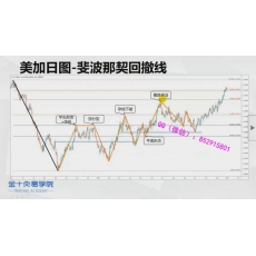 金十交易学院TTPS-alpha 日内交易孕线突破斐波那契高阶应用技术 外汇实战培训视频课程 赠数据解读