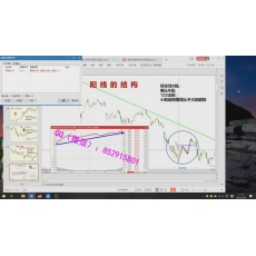 赵邵文 势在必得趋势交易盘感N字市场强度价格技术分析预测 期货内部培训视频课程