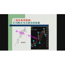 云飞扬 自然交替法则情绪周期波浪技术分析 股票期货外汇实战培训视频课程（基础+高级+研修）