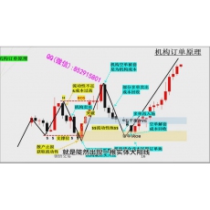 领悟交易 SMC订单流供需流动性市场结构判断波动点诱因核心策略 外汇实战培训视频课程