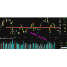 刘子阳 操盘术模型顶点极点极限战法日内交易盈利解密 期货内部培训视频课程