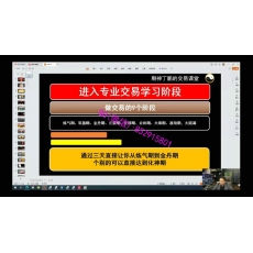 期神丁鹏 多周期指标共振趋势形态盘面交易VIP线下班 期货实战培训视频课程 赠指标